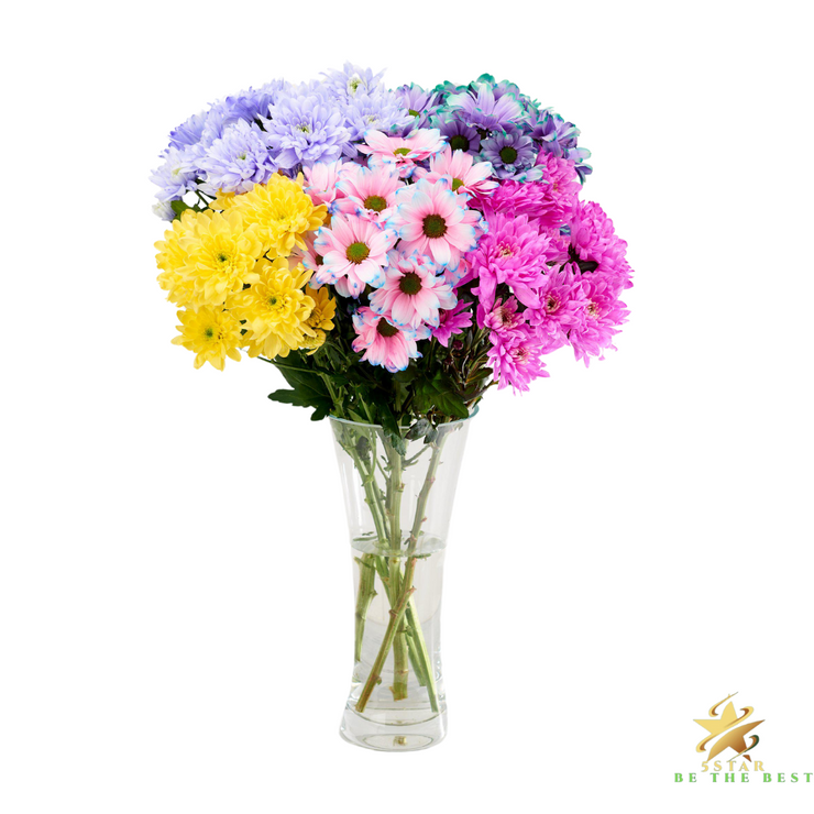 Gift Bundle - Fun Flowers Dyed Chrysanthemums with New Baby Photo Card